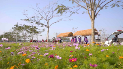 百花爭(zhēng)春！2023廣東省森林文化周春季活動(dòng)正式啟動(dòng)——邀你共赴一場(chǎng)森林里的休閑觀光之旅