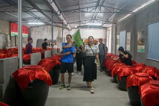 福建新增休閑觀光好去處 詔安梅之韻青梅文化觀光工廠(chǎng)榮獲省級(jí)殊榮